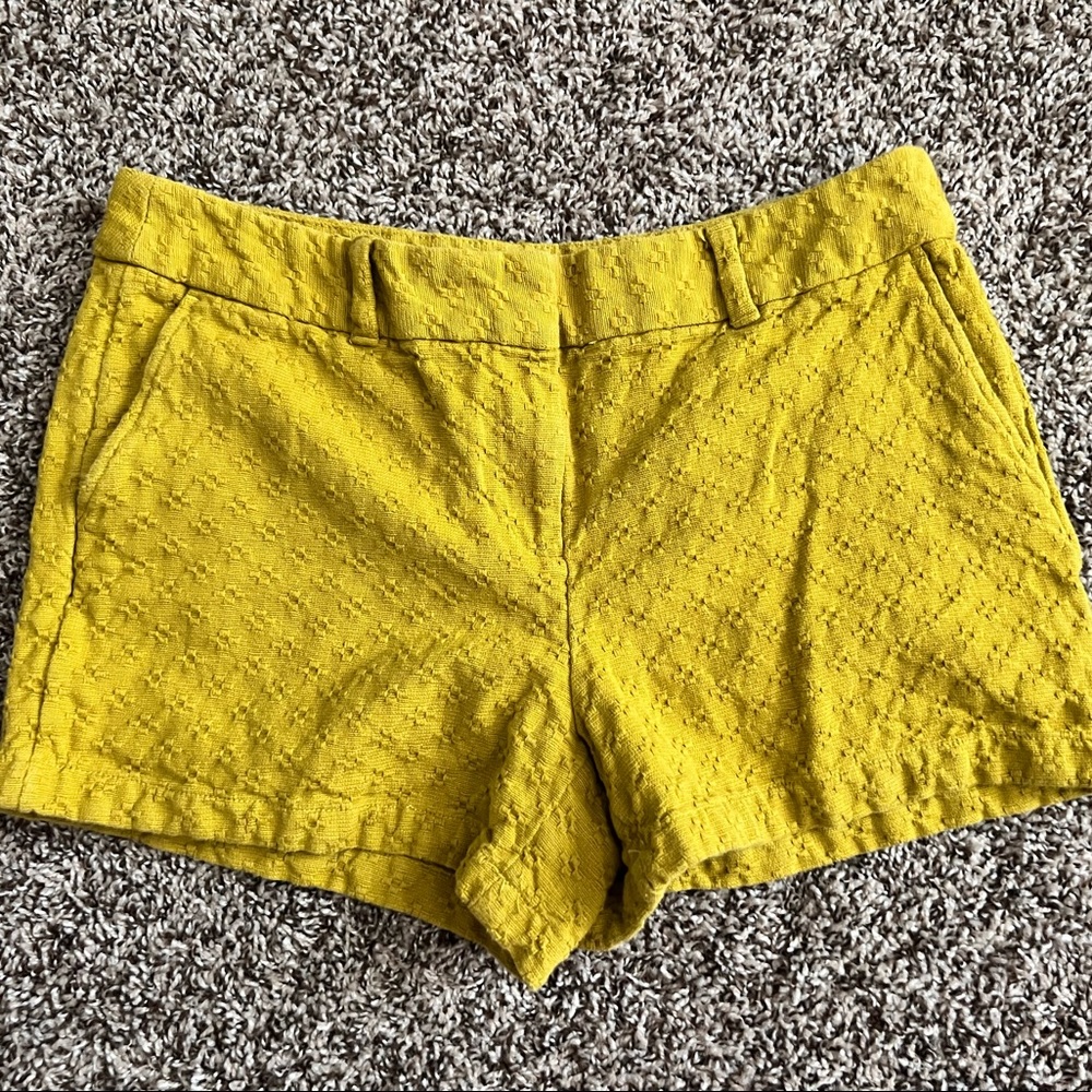Loft shorts